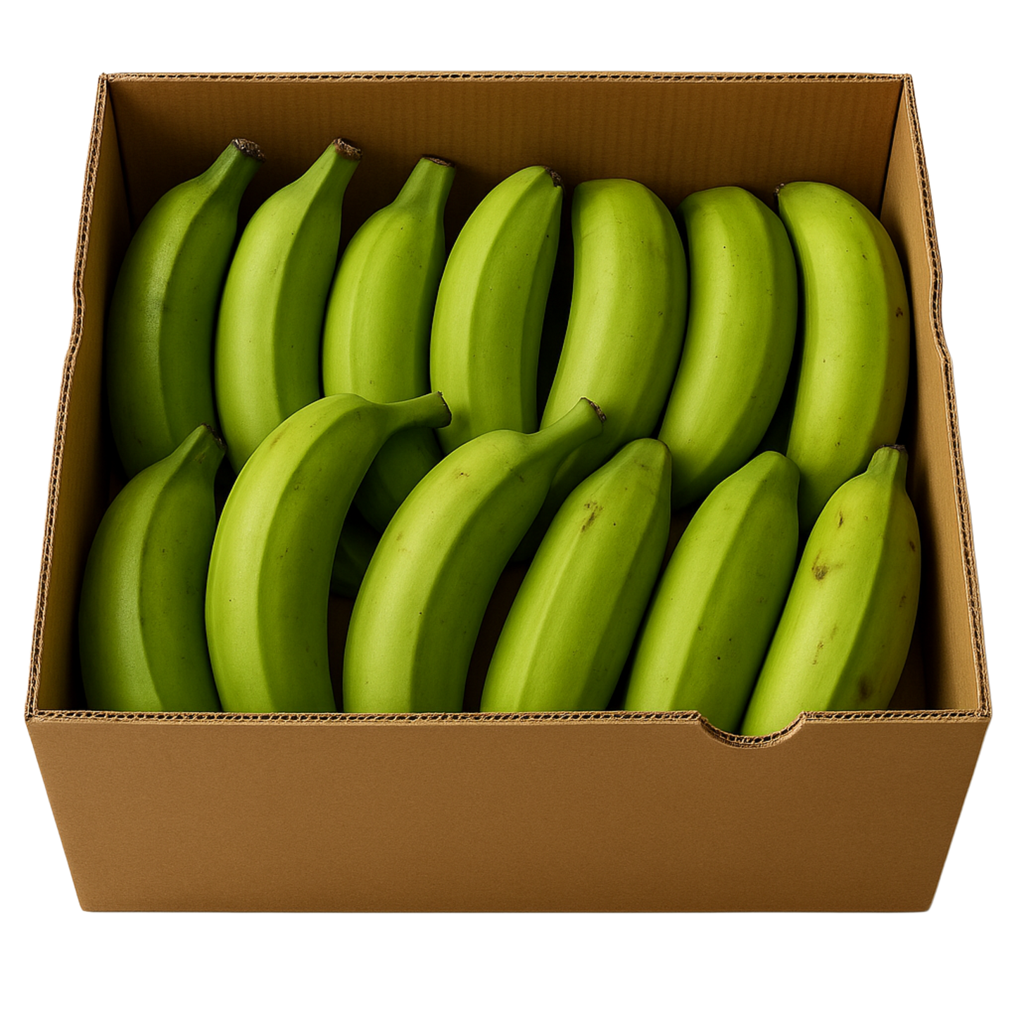 Banane plantain verte