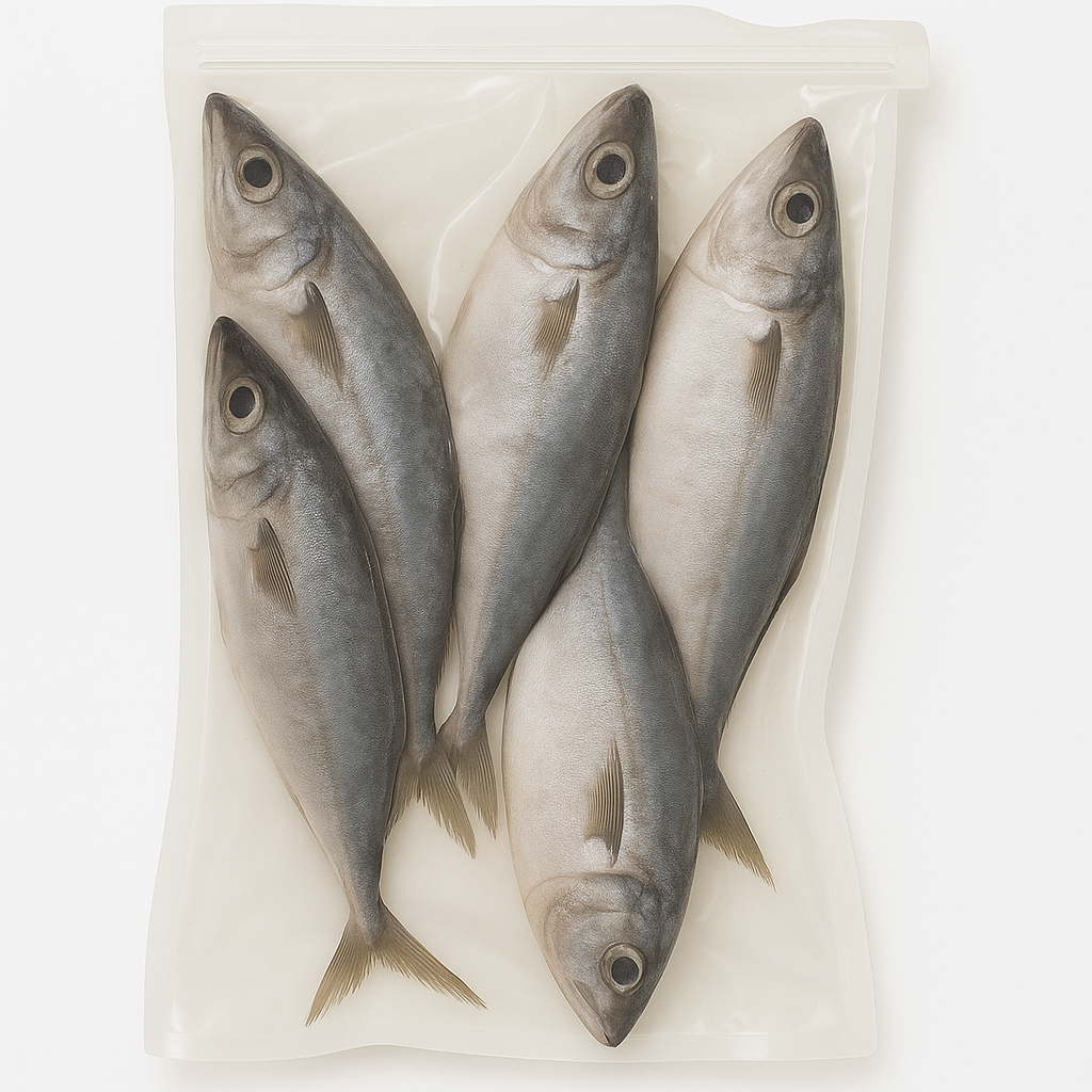 Chinchard - Thomson 5KG