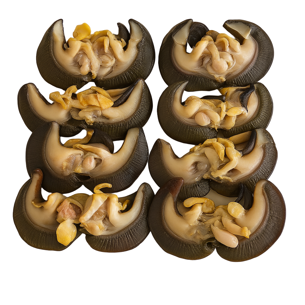 Escargots géants africains