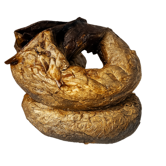 Brochet fumé - saveurs gourmandes