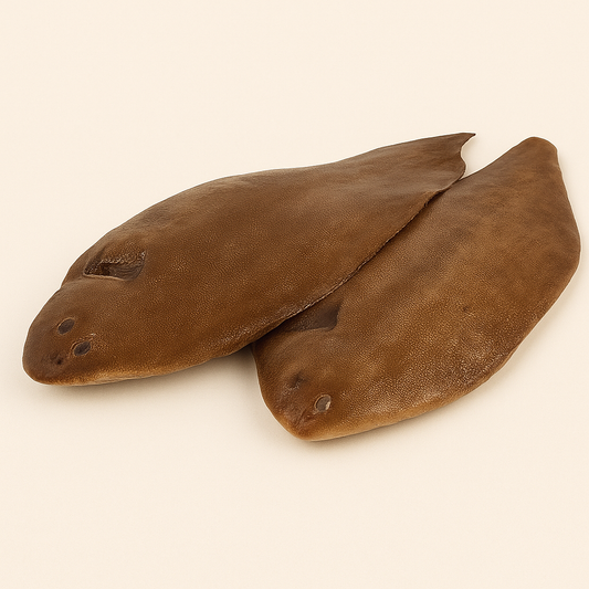 Poisson sole