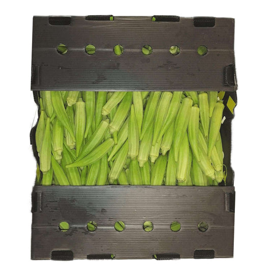 Gombo cagette 5KG