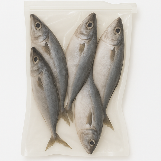 Chinchard - Thomson 5KG