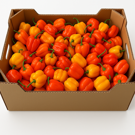 Piment antillais 4KG