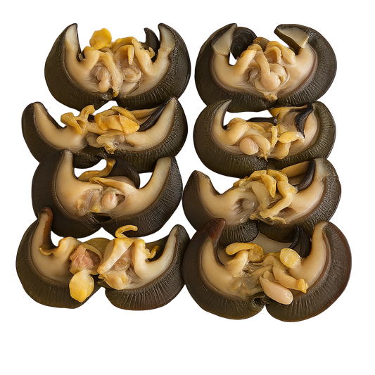 Escargots géants africains